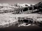 USA-Colorado Infrared of Aspen trees reflecting in small river Art Print